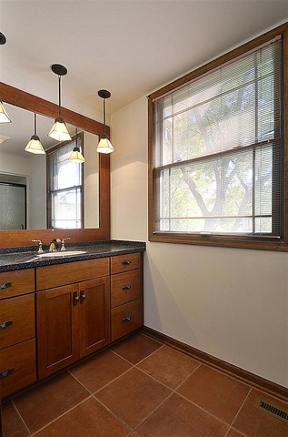 715 Roberts Lane Batavia, IL 60510 - Photo 15 of 24 a spacious bathroom with a granite countertop sink and a large mirror