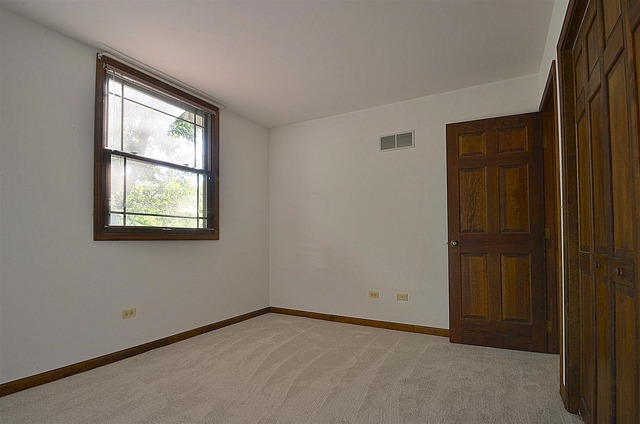 715 Roberts Lane Batavia, IL 60510 - Photo 17 of 24 an empty room with windows and closet