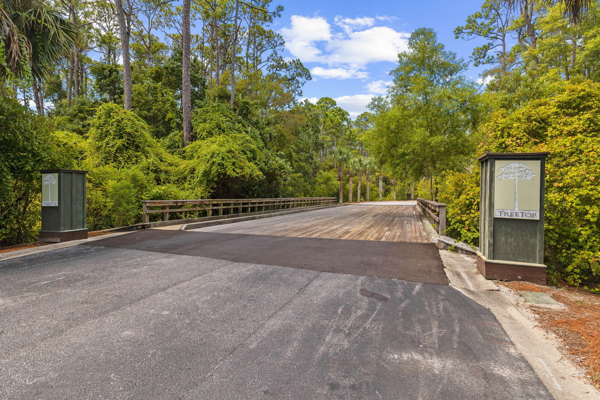 Lot 68 North Silver Maple Dr Inlet Beach Inlet Beach, FL 32461 - Photo 8 of 14 a view of a house with a street