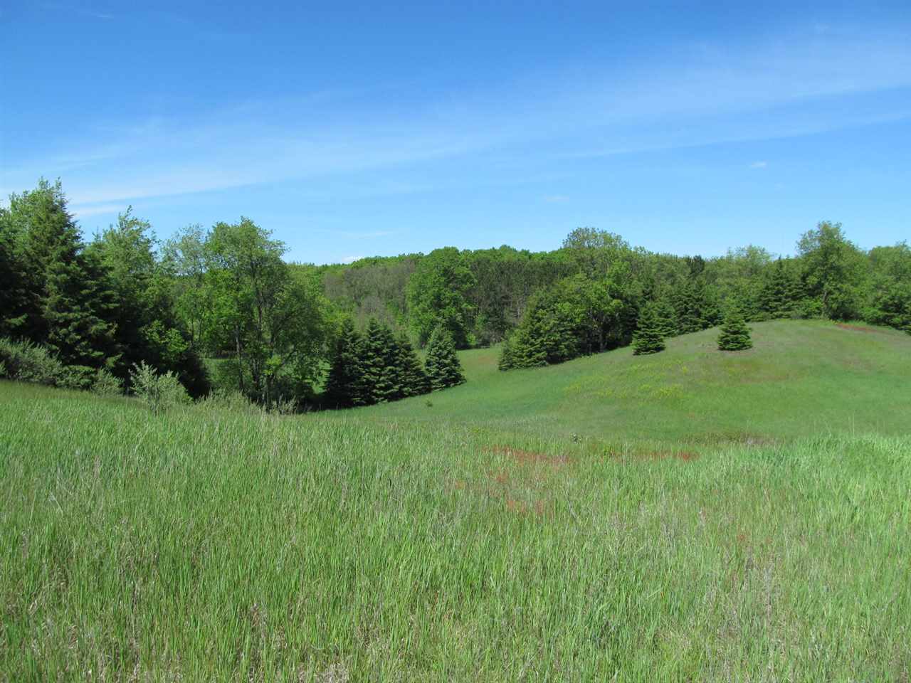 15526 20 Mile Road Tustin, MI 49688 - Photo 15 of 24 1862281-14.JPG