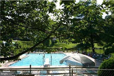 5903 Kingsford Road, Unit G Springfield, VA 22152 - Photo 19 of 23 Community Pool #1