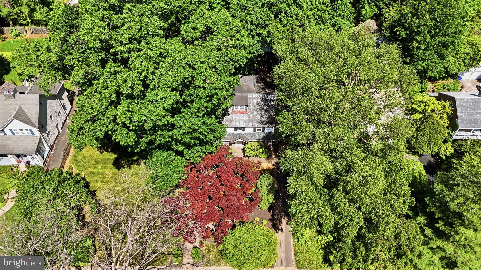 8210 Fairview Road Elkins Park, PA 19027 - Photo 48 of 55