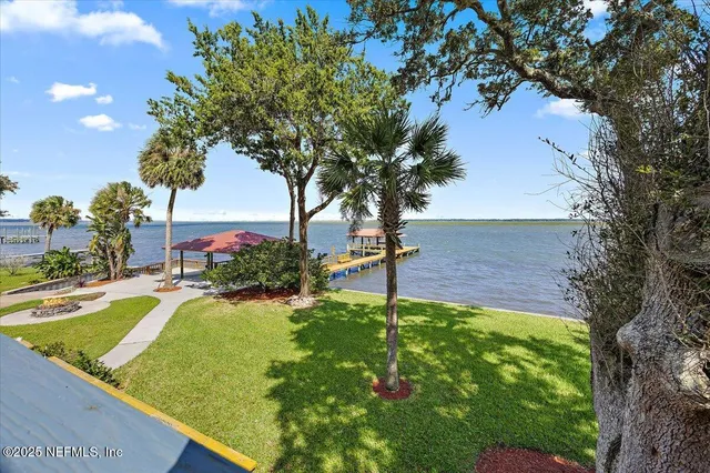 a view of a backyard