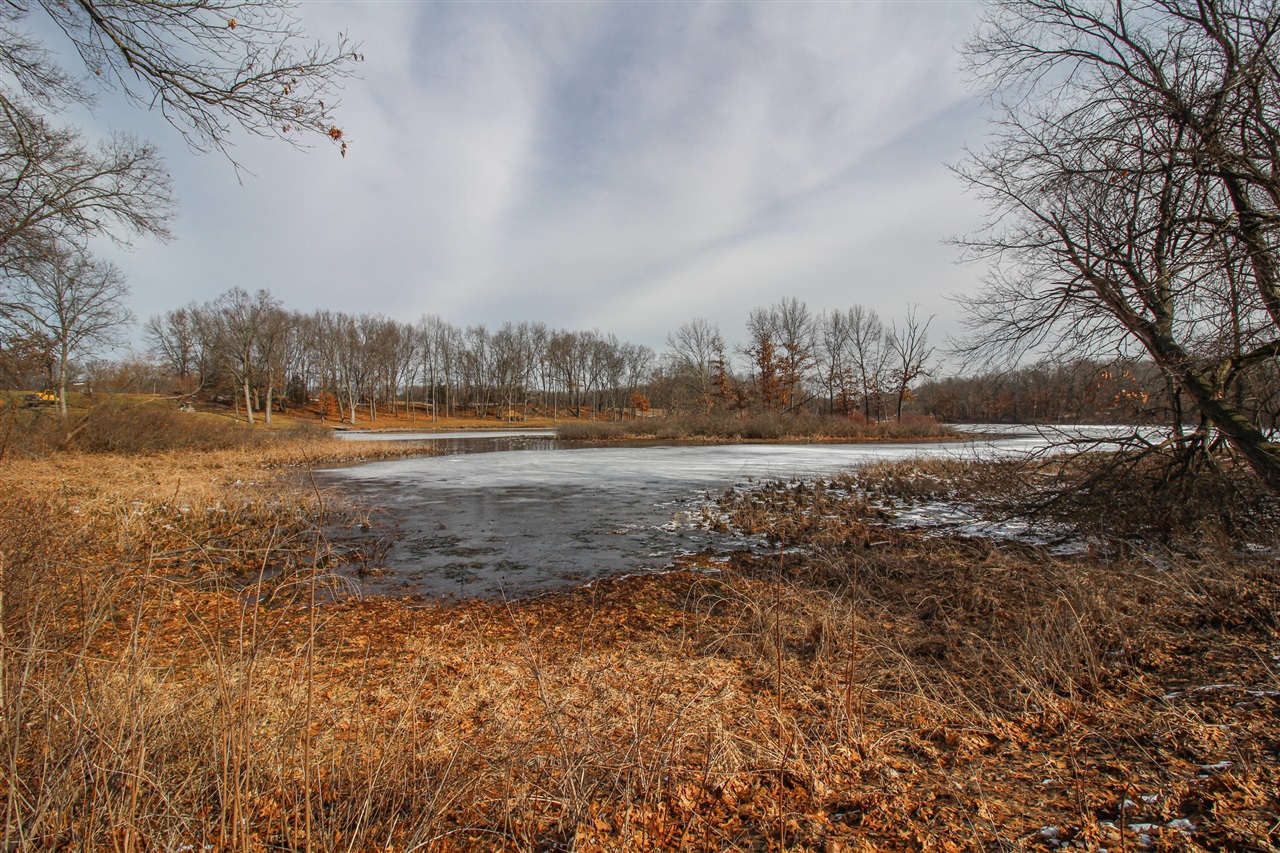 17700 Brad Lane Three Rivers, MI 49093 - Photo 36 of 93