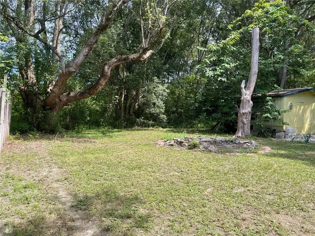 a view of a yard with a tree