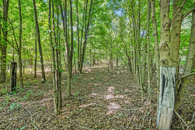 $189,500 | V/l 56th Avenue, Paw Paw, MI 49079