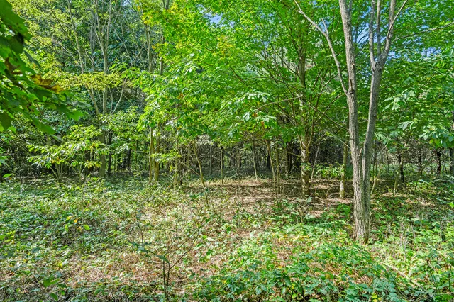 $189,500 | V/l 56th Avenue, Paw Paw, MI 49079