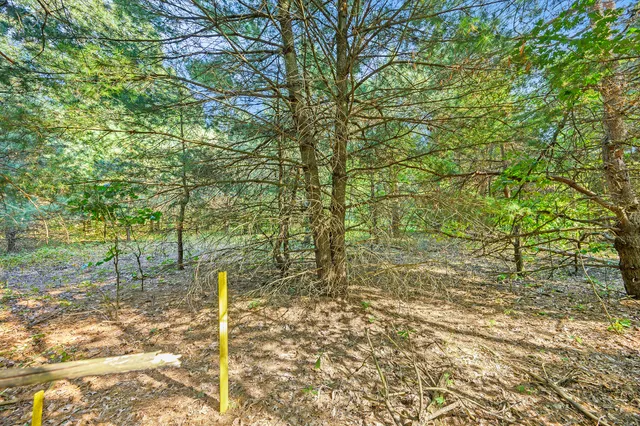 $189,500 | V/l 56th Avenue, Paw Paw, MI 49079