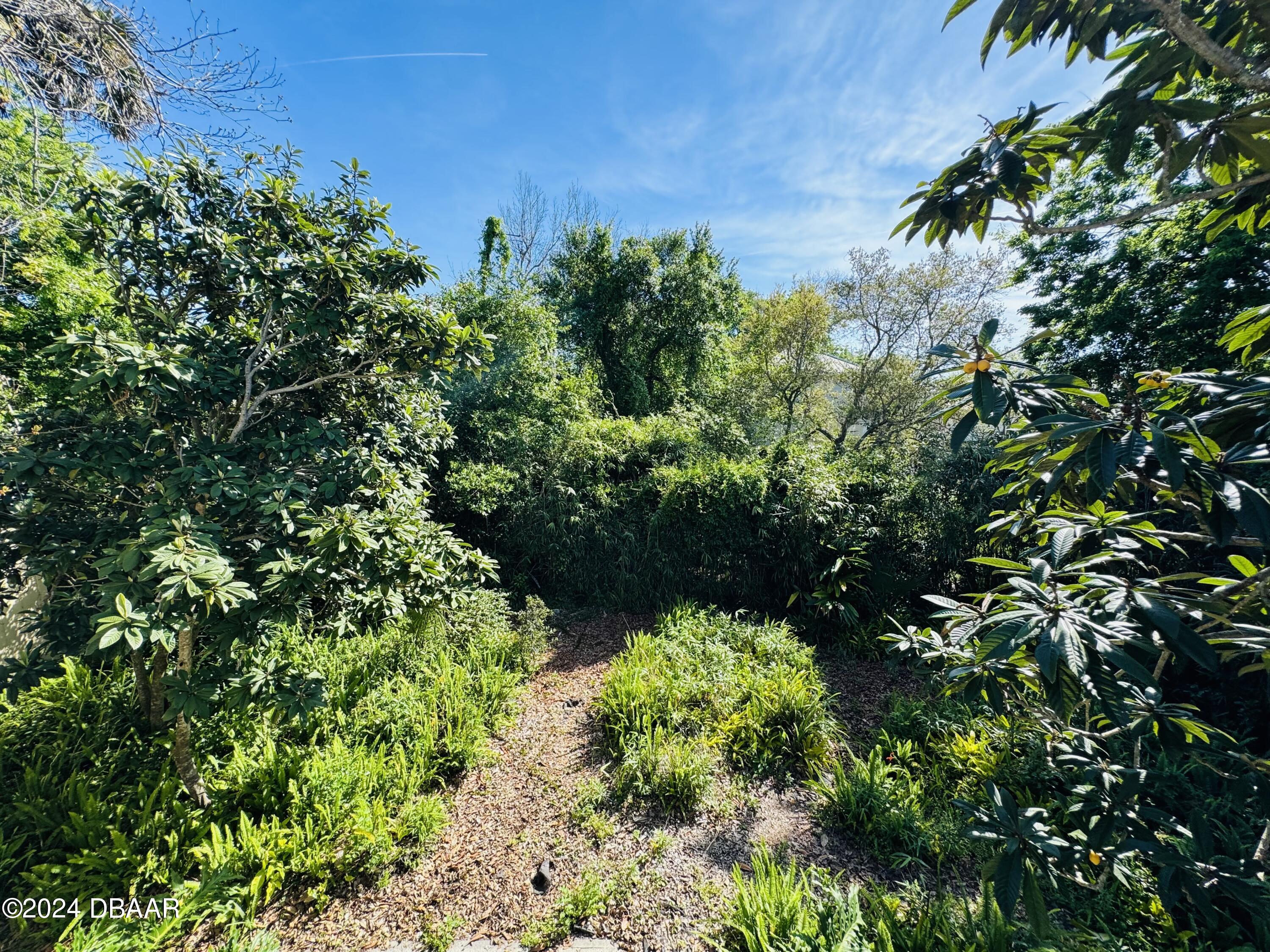 189 Grove Street Ormond Beach, FL 32174 - Photo 35 of 46 Room to grow