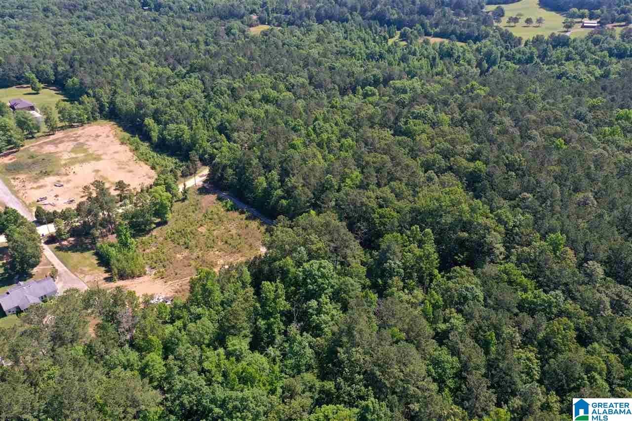 948 Old Deer Creek Road Sterrett, AL 35147 - Photo 14 of 19