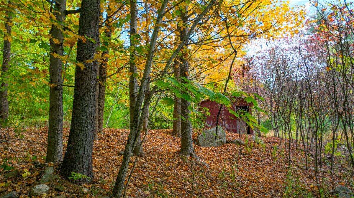 4 Beacon Street Livermore Falls, ME 04254 - Photo 40 of 54 12-4 Beacon st_livermore_ME--12