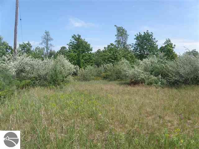 0 Graves Road, Unit LOT: A Copemish, MI 49625 - Photo 8 of 11