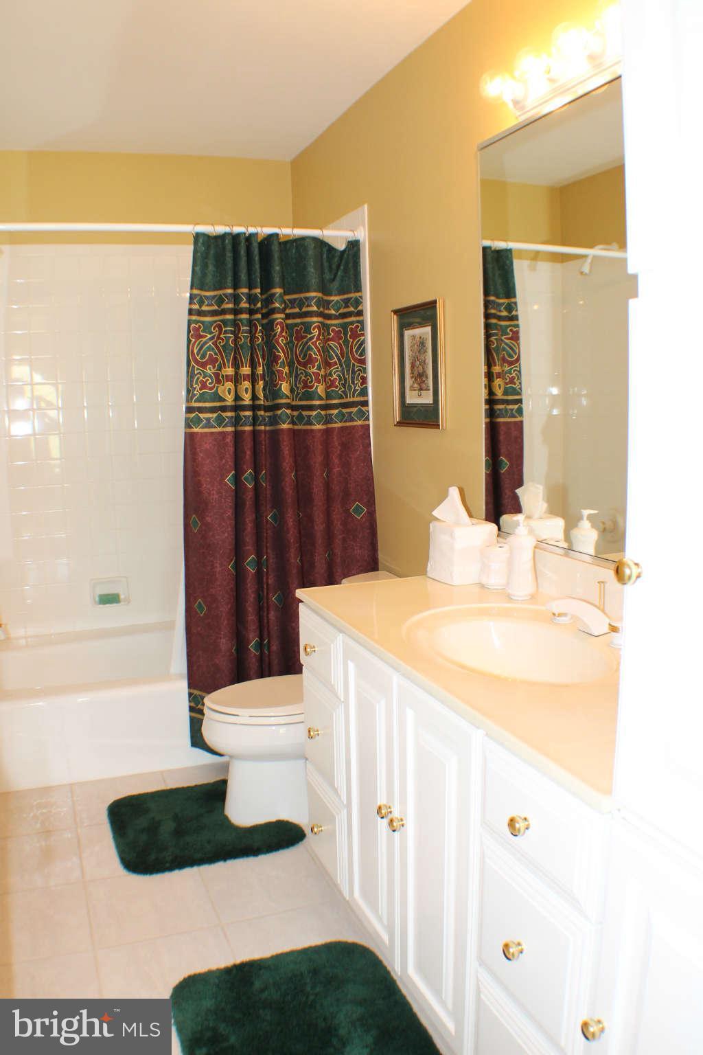 17129 Frederick Road Mount Airy, MD 21771 - Photo 22 of 30 Hall Bath