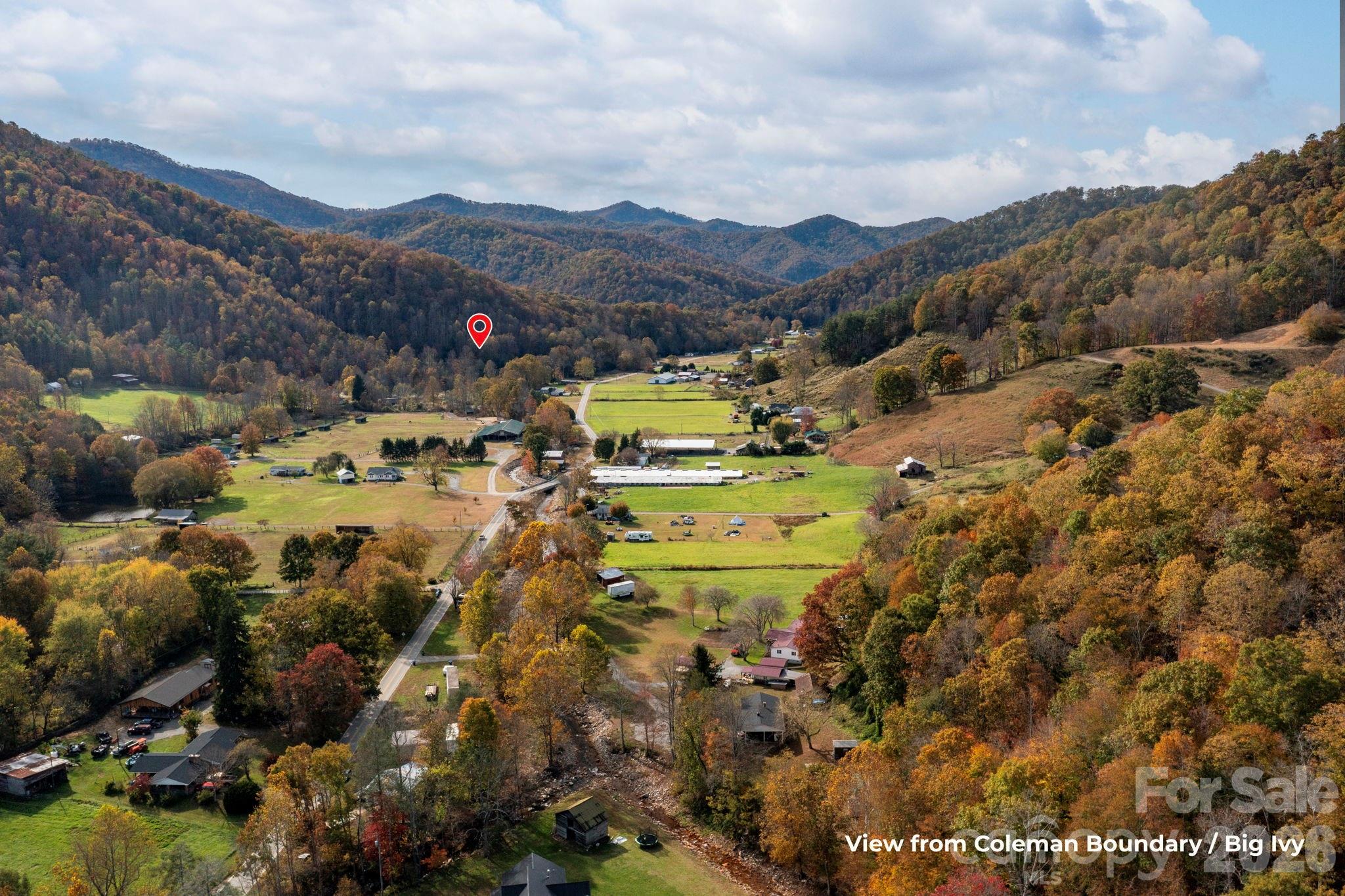 1265 Dillingham Road Barnardsville, NC 28709 - Photo 4 of 46 a view of a city with mountains in the background