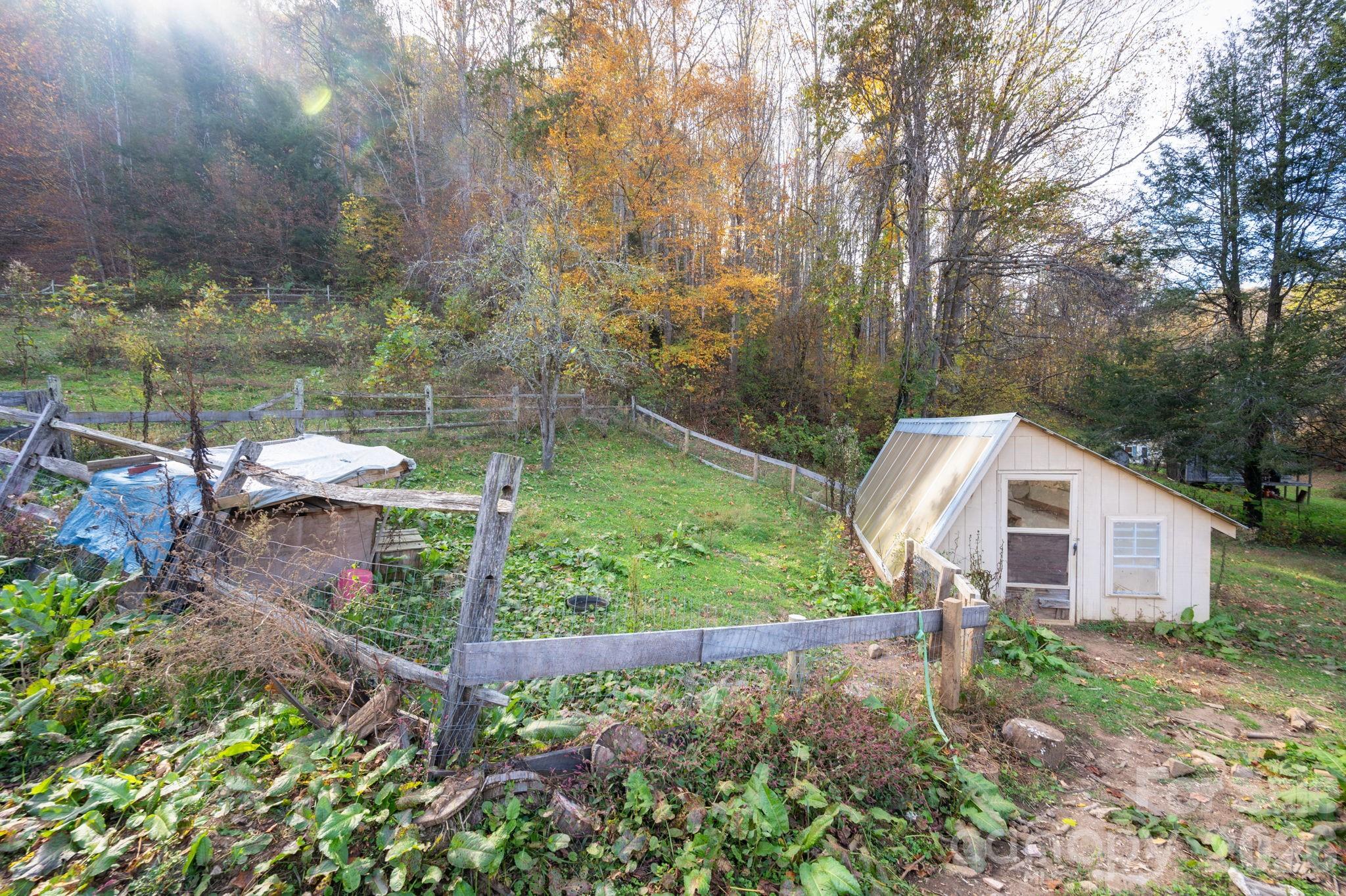 1265 Dillingham Road Barnardsville, NC 28709 - Photo 41 of 46 a view of a back yard with green space