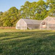 980 Cowford Road Ponce de Leon, FL 32455 - Photo 4 of 10 980 Cowford Greenhouses