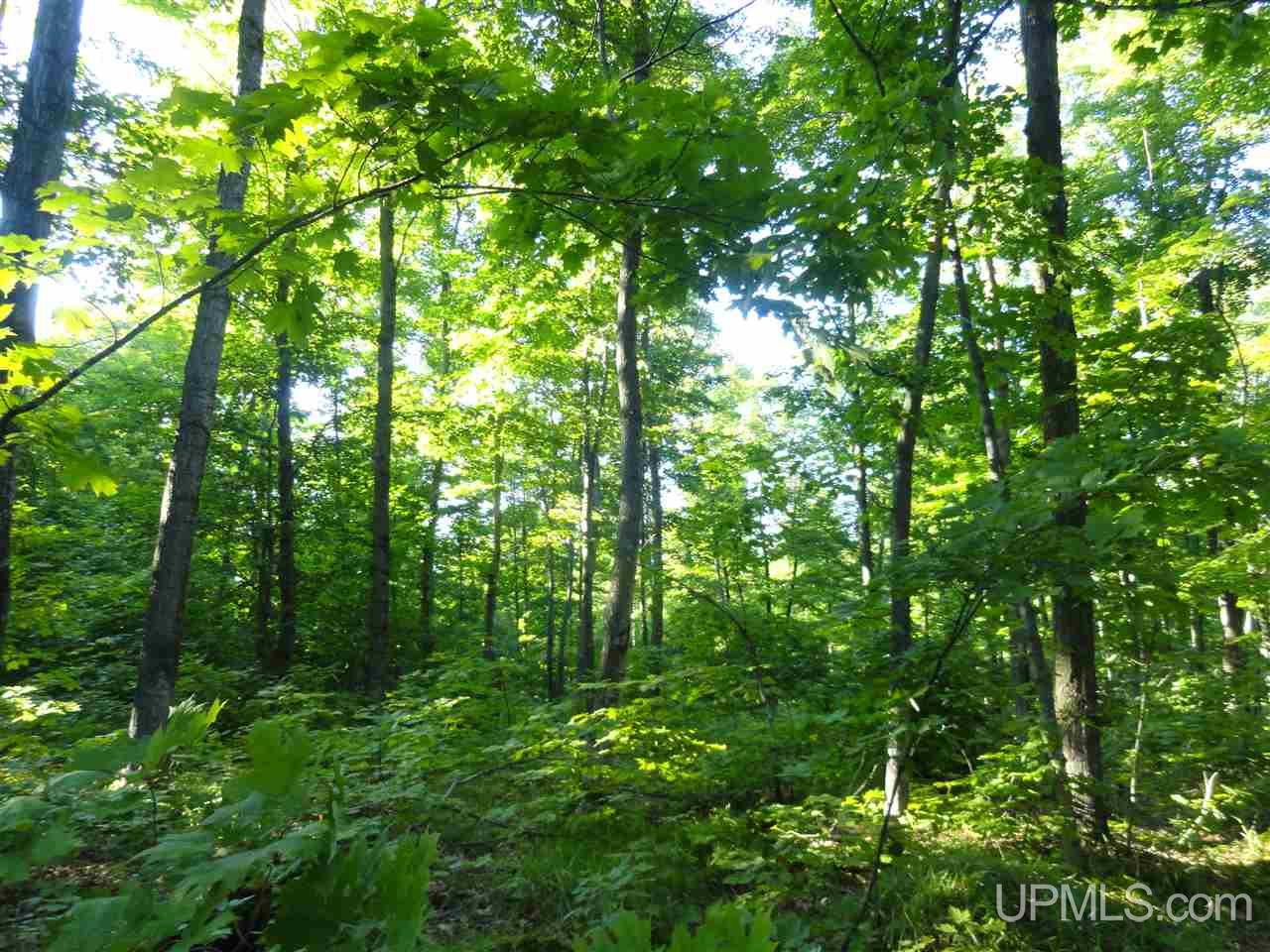 80 NORTH Off Co Road Ishpeming, MI 49849 - Photo 4 of 19