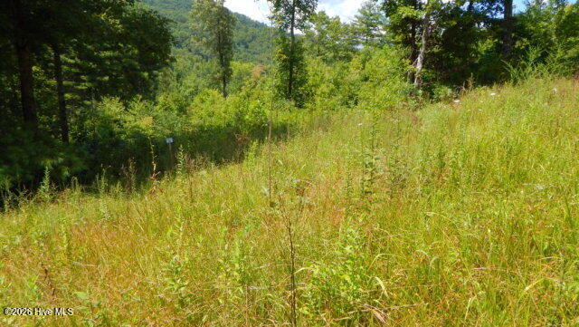 16 Tyler Ridge Road Murphy, NC 28906 - Photo 5 of 5