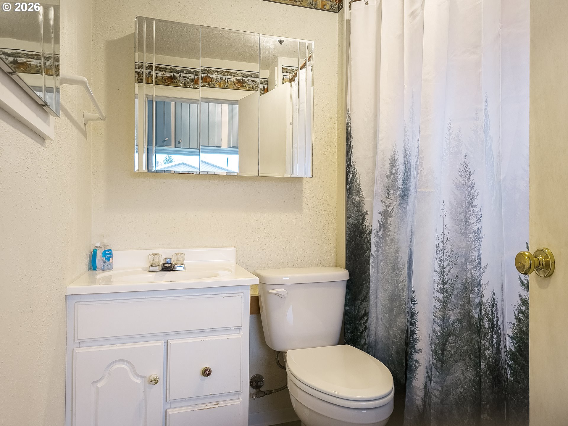 190 South 6th Street Elgin, OR 97827 - Photo 14 of 15 a bathroom with a sink a toilet and a mirror