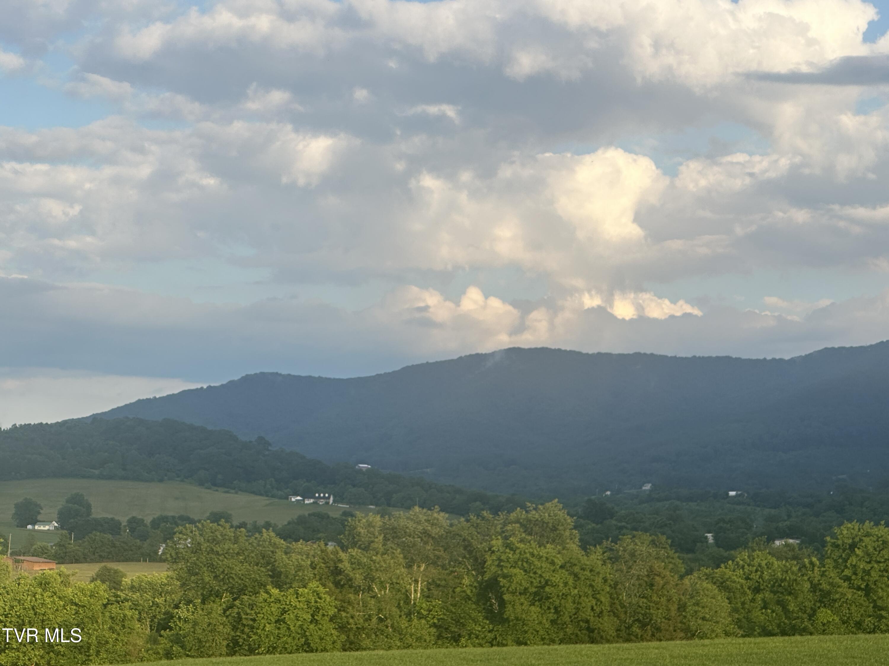 1070 Nolichuckey Road Greeneville, TN 37743 - Photo 66 of 66 IMG_4781