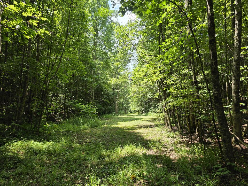 34.98 Hall Road Farner, TN 37333 - Photo 22 of 45 Gallery Image 22