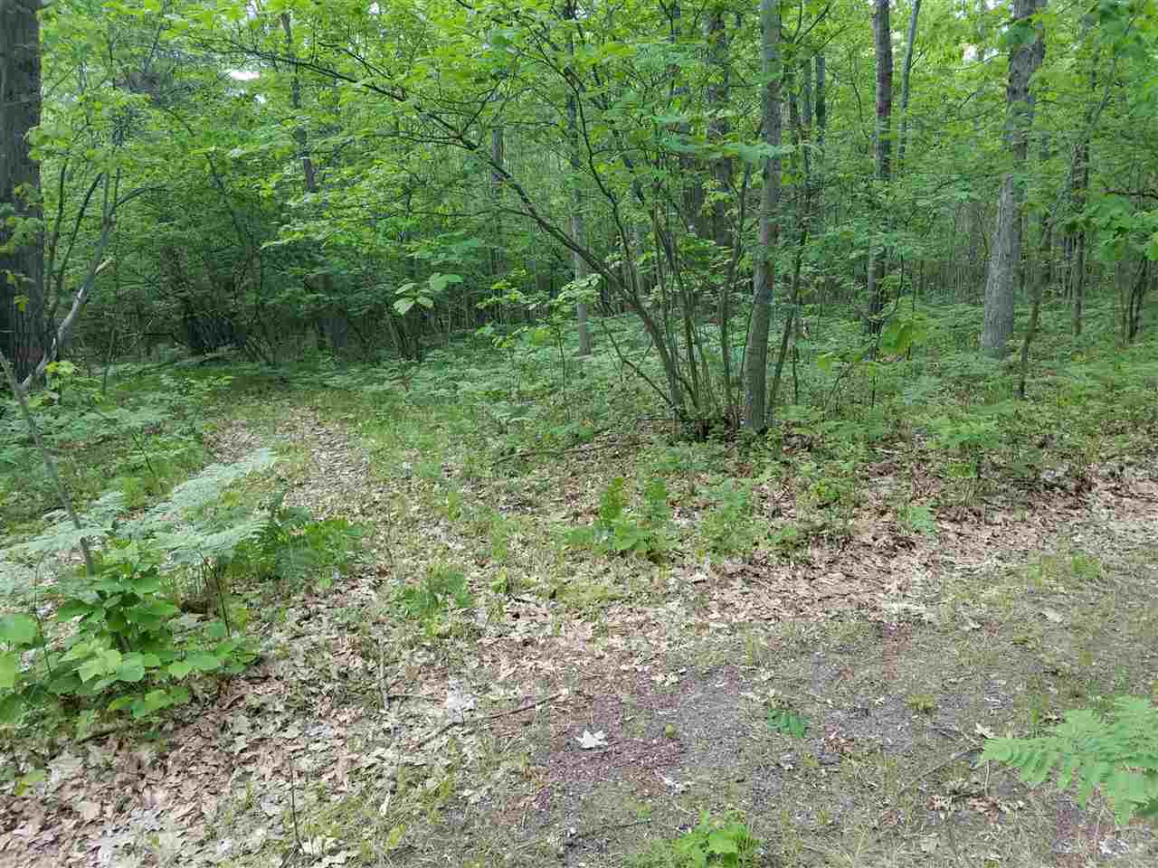4504 West Battle Road Farwell, MI 48622 - Photo 54 of 64 1833557-53.JPG