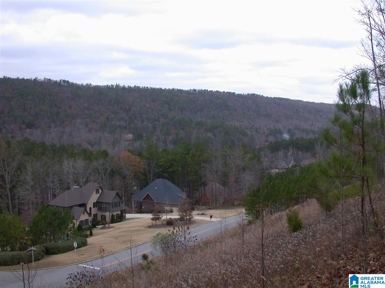592 St Andrews Parkway, Unit 66 &13 Oneonta, AL 35121 - Photo 2 of 3
