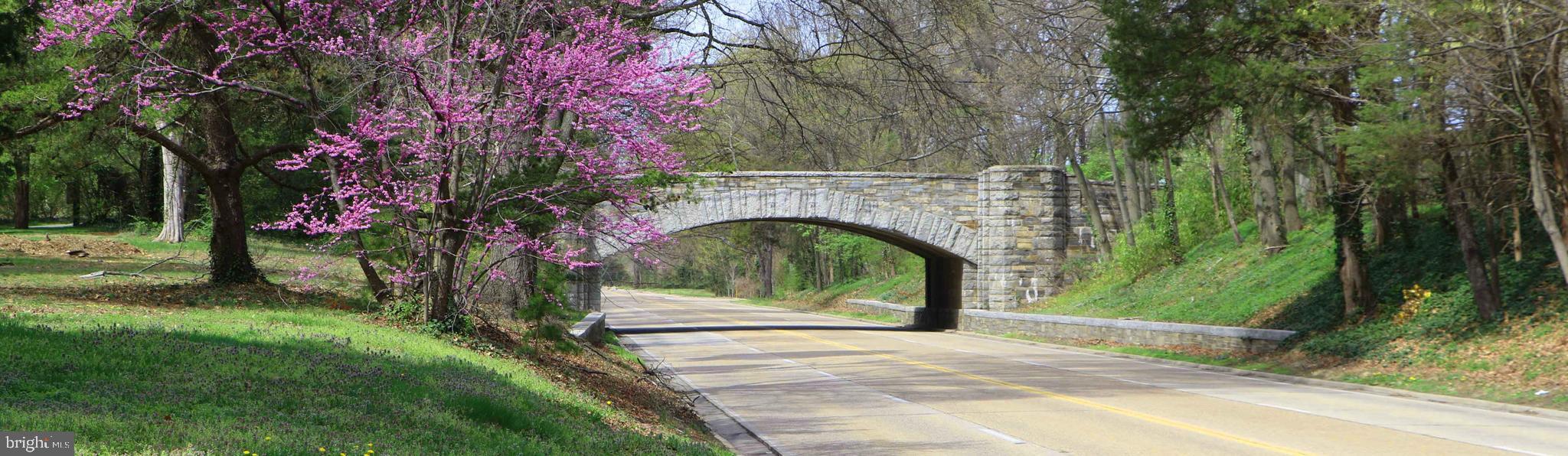 8709 Highgate Road Alexandria, VA 22308 - Photo 50 of 58 George Washington Parkway w/ bike path