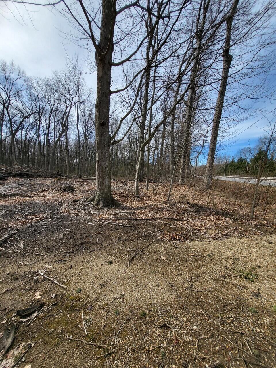 16351 Red Arrow Highway Union Pier, MI 49129 - Photo 19 of 24 16351 RED ARROW