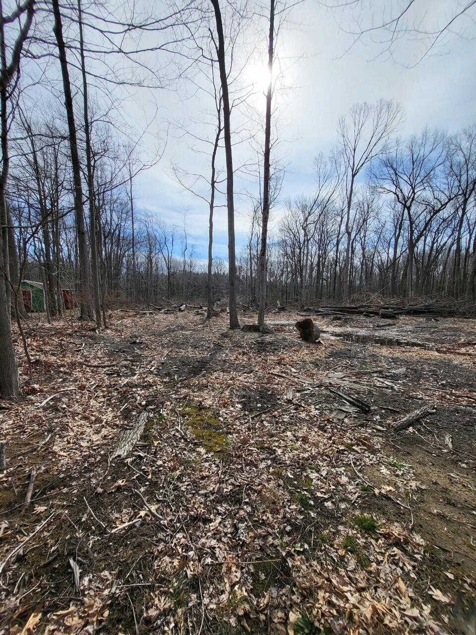 16351 Red Arrow Highway Union Pier, MI 49129 - Photo 21 of 24 16351 RED ARROW