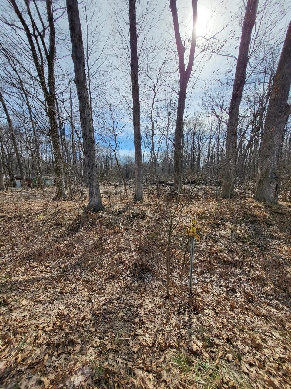 16351 Red Arrow Highway Union Pier, MI 49129 - Photo 22 of 24 16351 RED ARROW