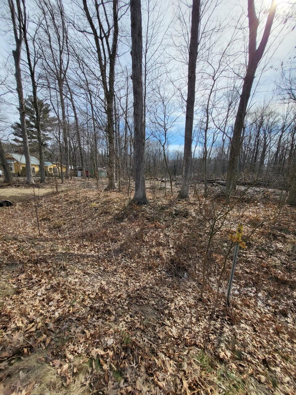 16351 Red Arrow Highway Union Pier, MI 49129 - Photo 23 of 24 16351 RED ARROW