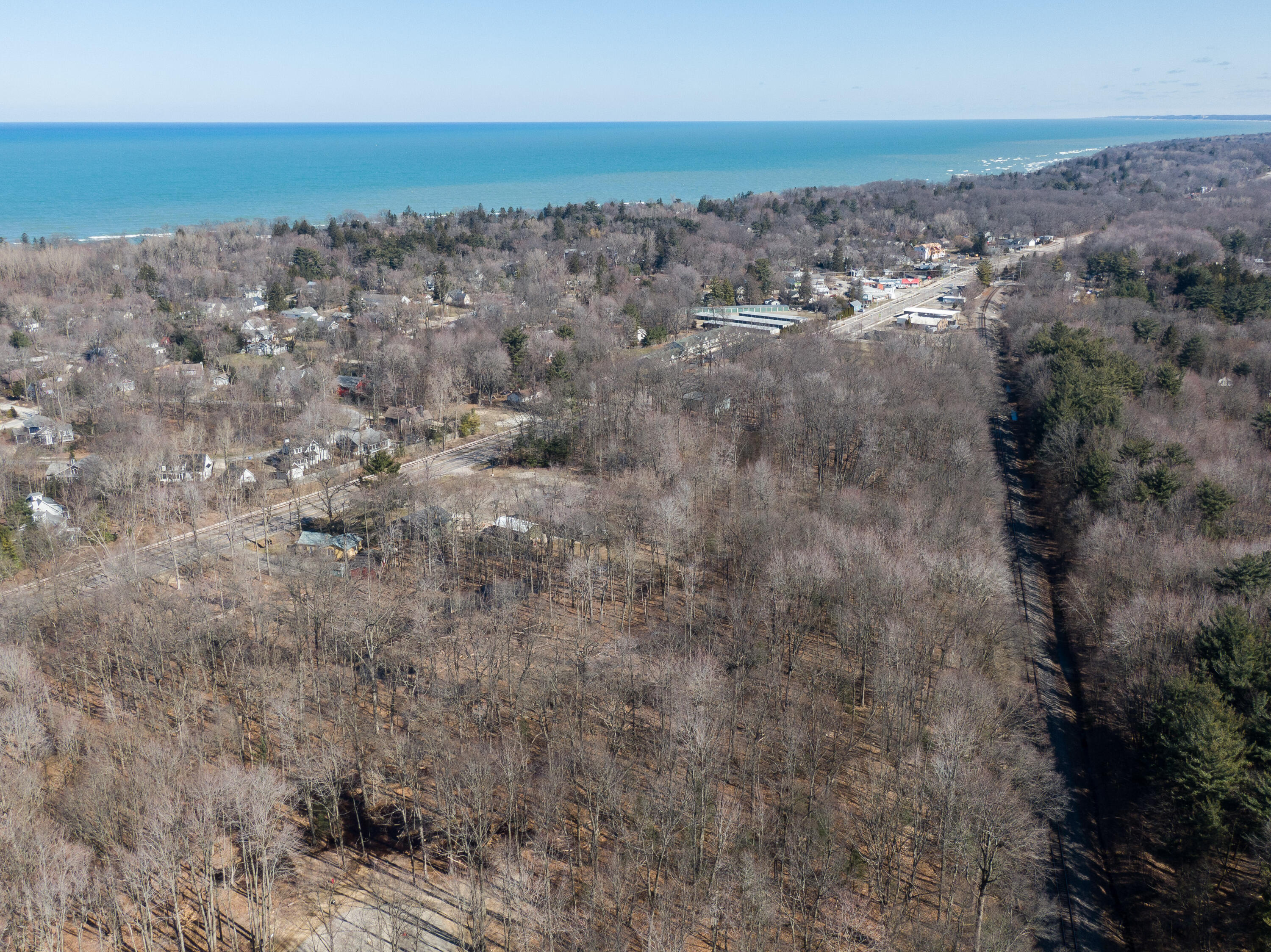 16351 Red Arrow Highway Union Pier, MI 49129 - Photo 5 of 24 16351 RED ARROW