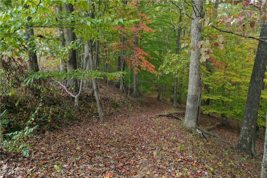 731 Riffle Run Road Grantsville, WV 26147 - Photo 18 of 30