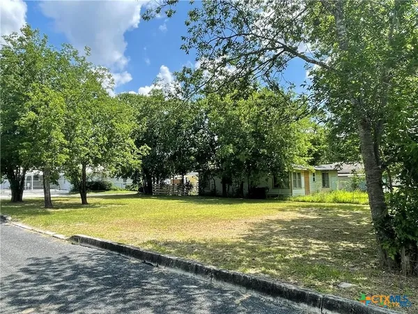 a view of a large trees with a big yard