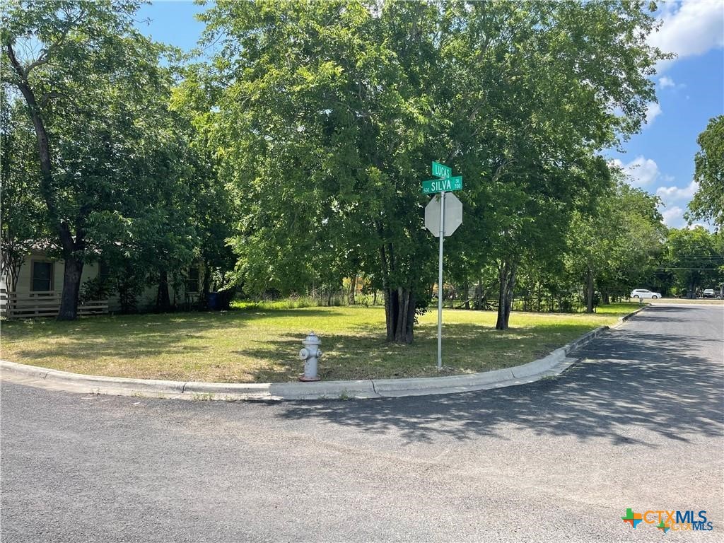 557 Silva Street Seguin, TX 78155 - Photo 4 of 4