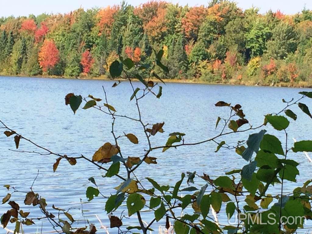 Off East Hawk Lake Road, Unit 3 Marenisco, MI 49947 - Photo 4 of 18