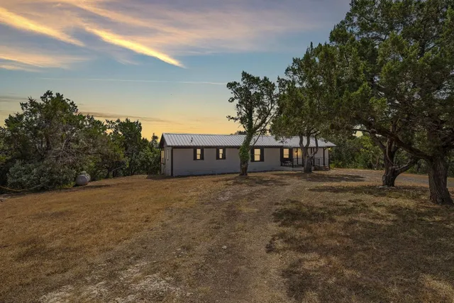 a view of a large trees with a big yard