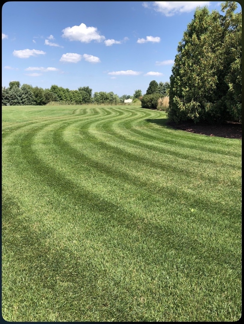 24104 Old Farm Road Manhattan, IL 60442 - Photo 74 of 75