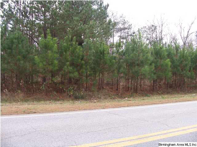 Providence Road, Unit 1 5 Tallapoosa, GA 30176 - Photo 5 of 5