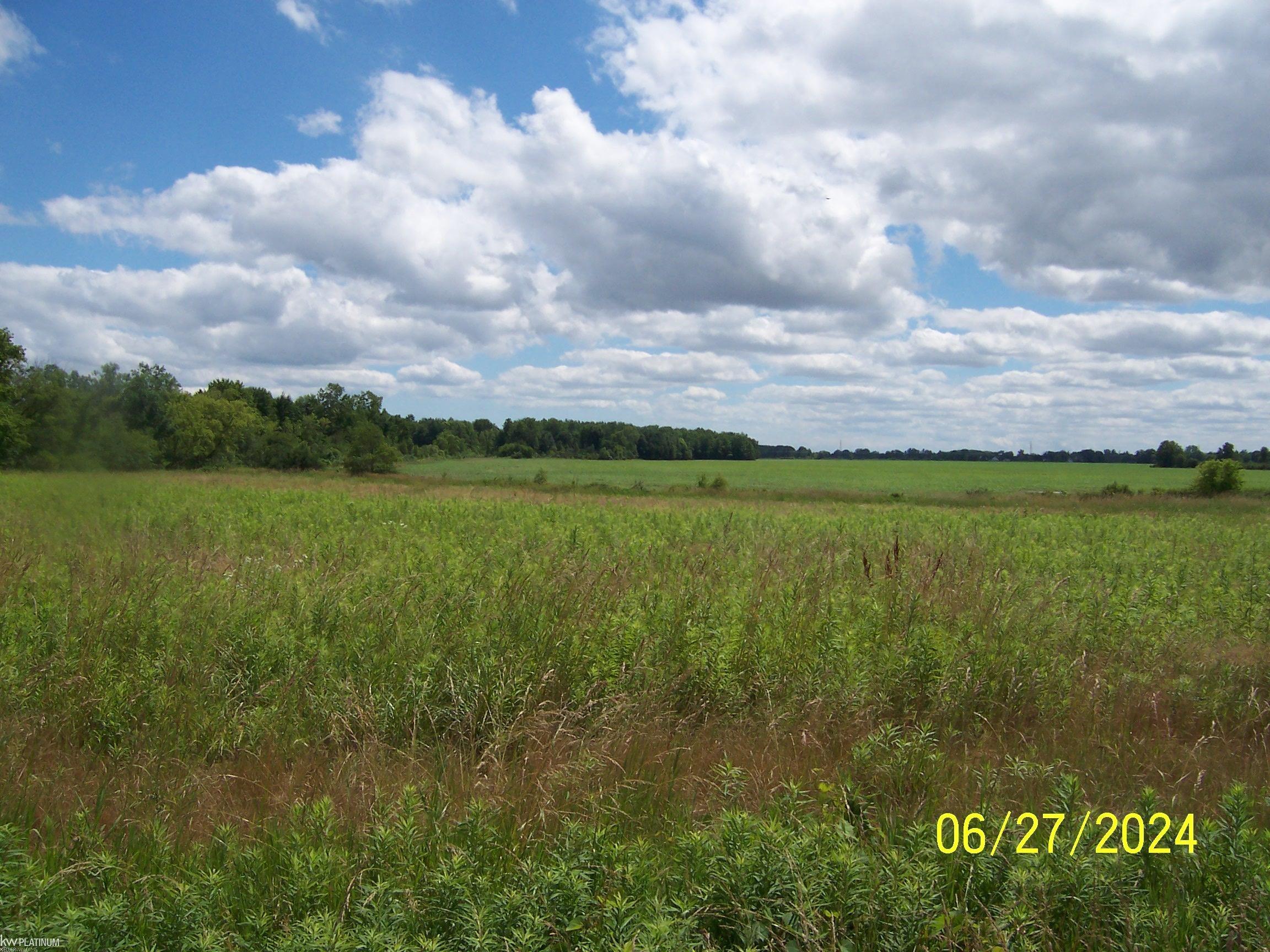 0 Lambs Road Memphis, MI 48041 - Photo 1 of 6