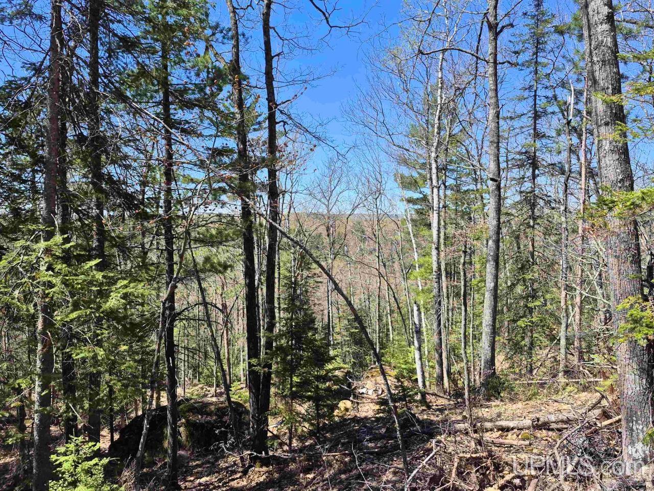 46 County Aat Road Ishpeming, MI 49849 - Photo 44 of 44