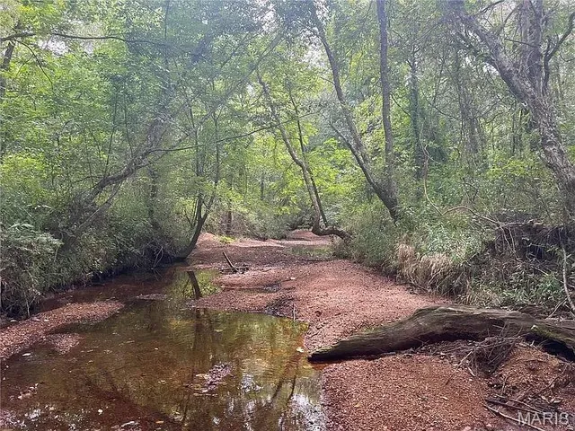 $699,000 | 2814 Ripley N-2, Doniphan, MO 63935