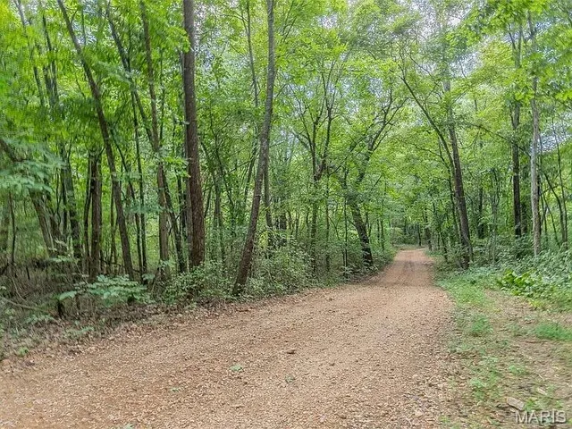 $699,000 | 2814 Ripley N-2, Doniphan, MO 63935