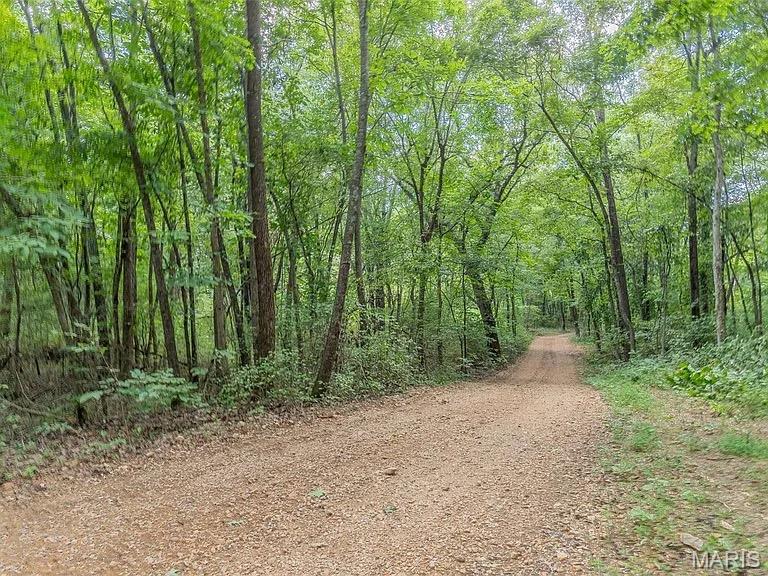 2814 Ripley N-2 Doniphan, MO 63935 - Photo 28 of 31