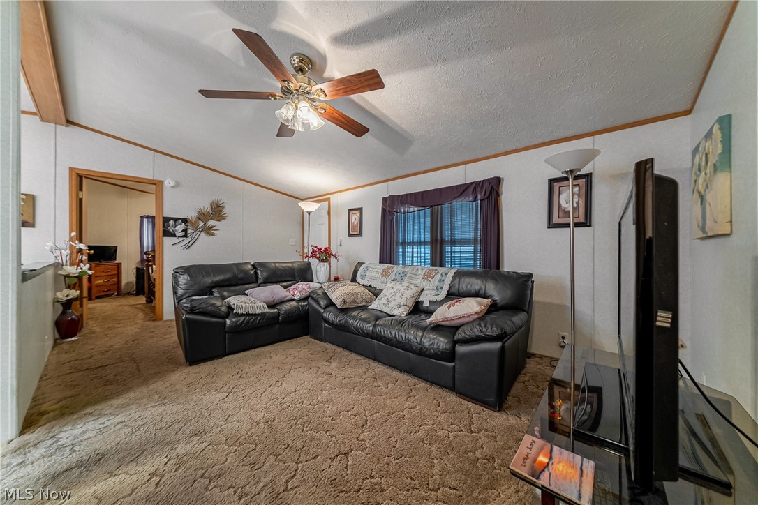 2700 Brookpark Road, Unit 513 Cleveland, OH 44134 - Photo 10 of 25 Carpeted living room with a ceiling fan and crown molding