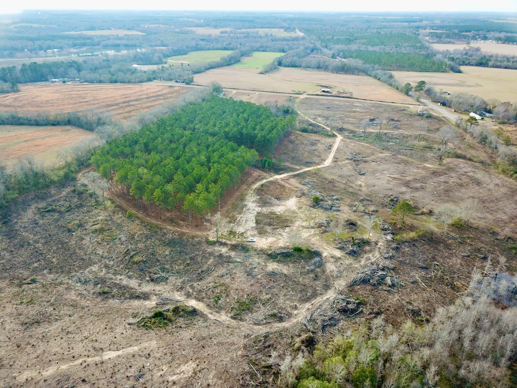 20-acres Hudson Road Columbia, AL 36319 - Photo 15 of 40