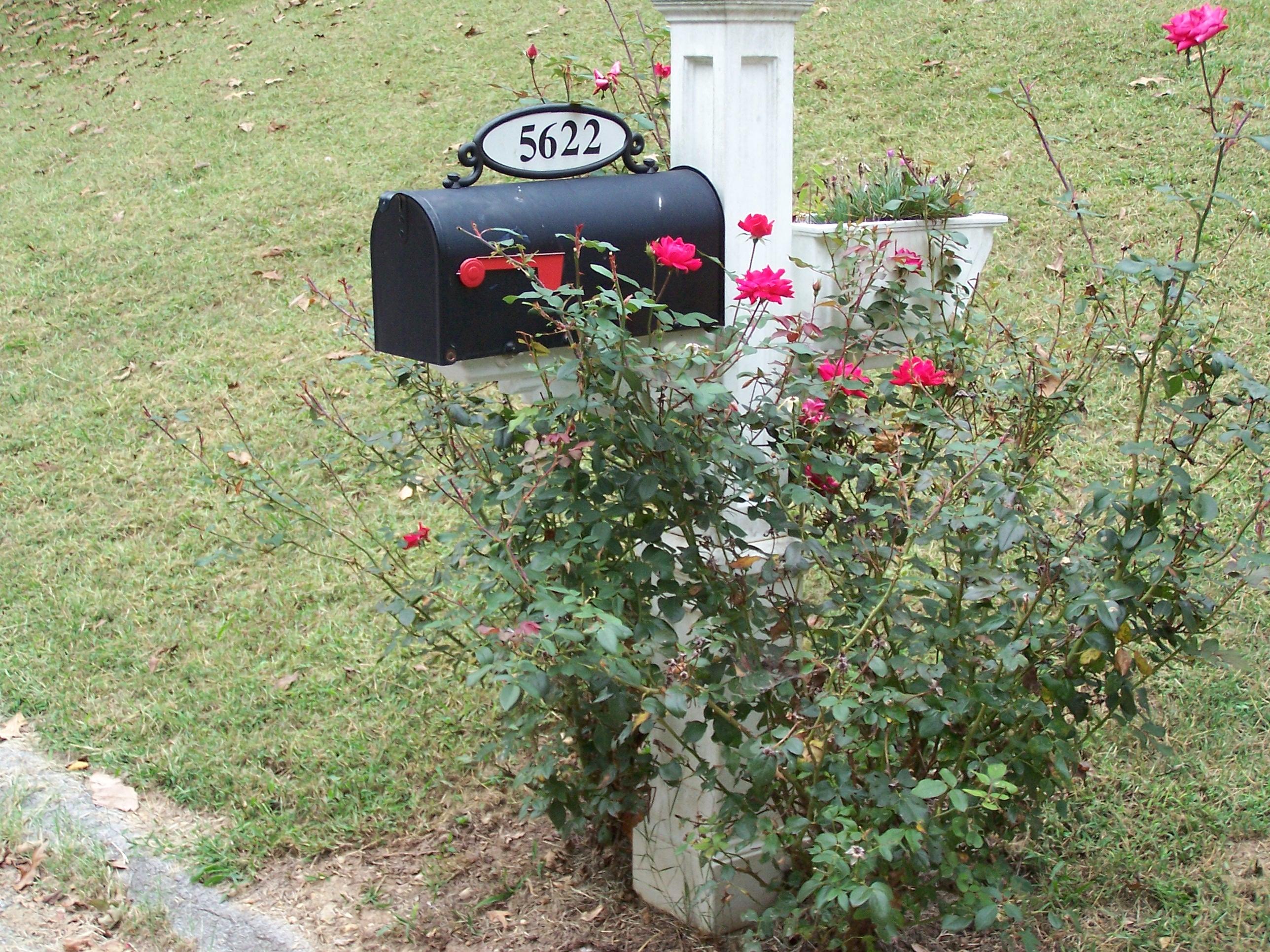 5622 Cold Springs Road, Unit 19 Hixson, TN 37343 - Photo 25 of 33 MAILBOX