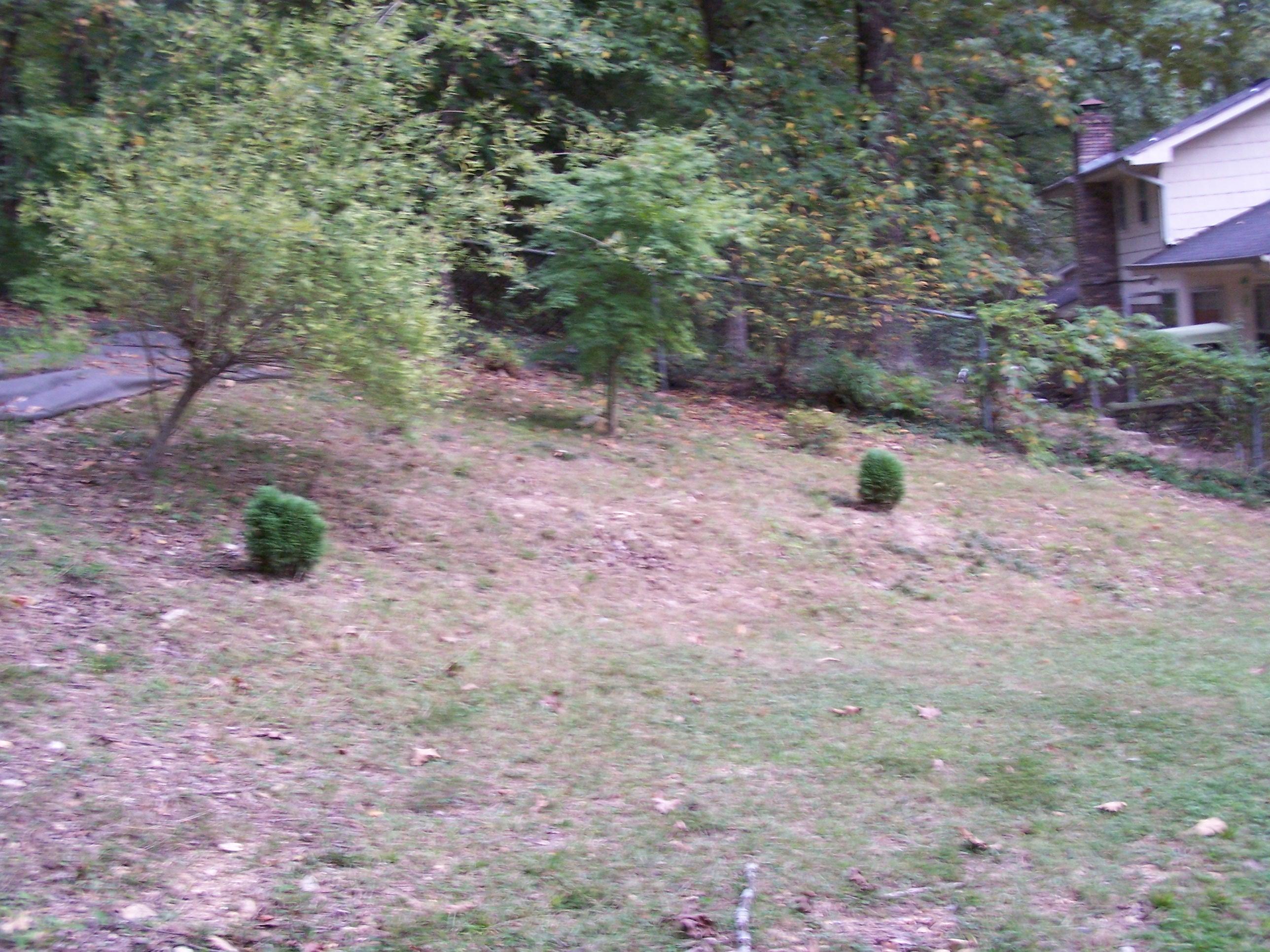 5622 Cold Springs Road, Unit 19 Hixson, TN 37343 - Photo 31 of 33 YARD VIEW