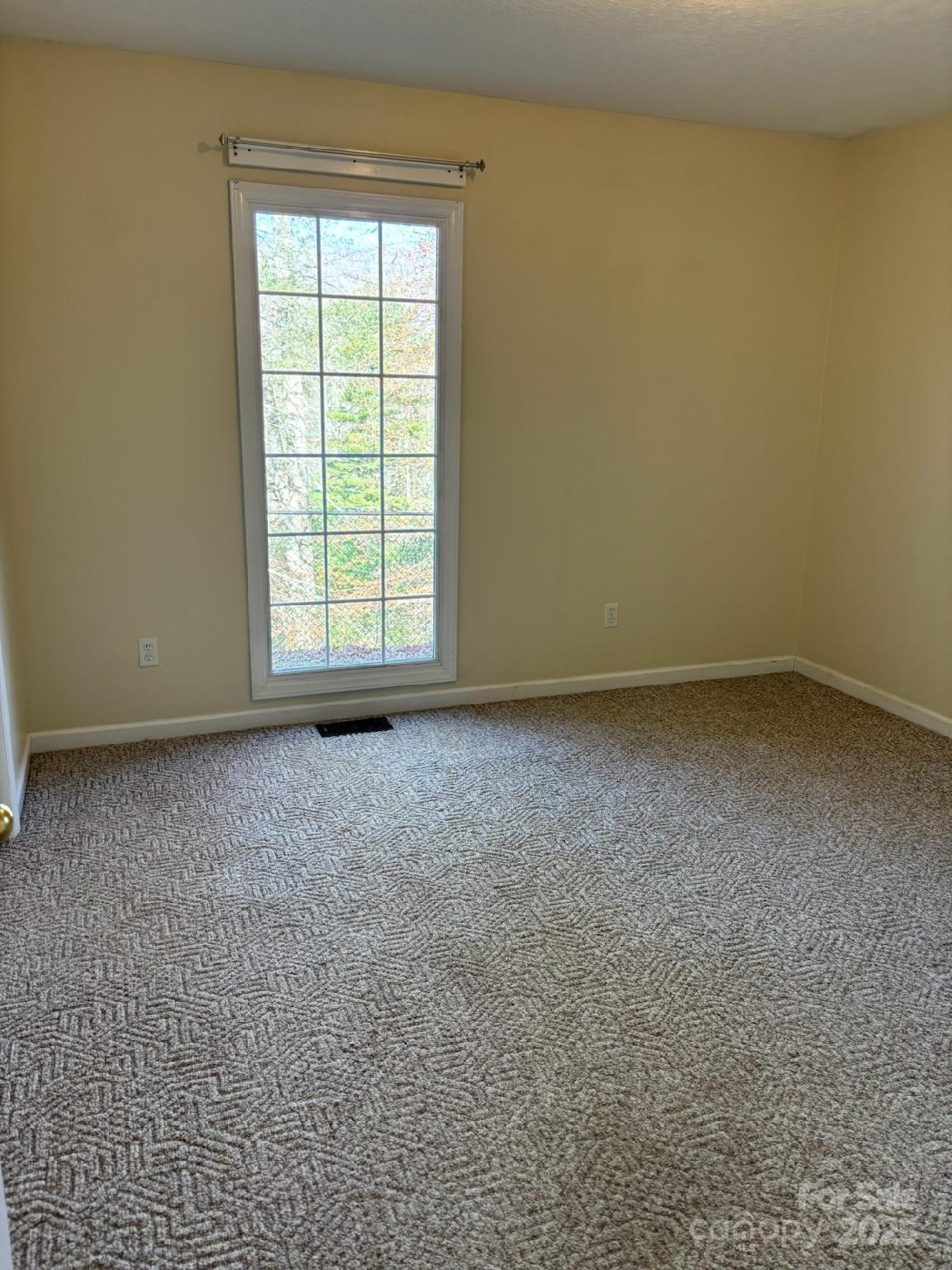 493 Spring Hill Road Bakersville, NC 28705 - Photo 18 of 20